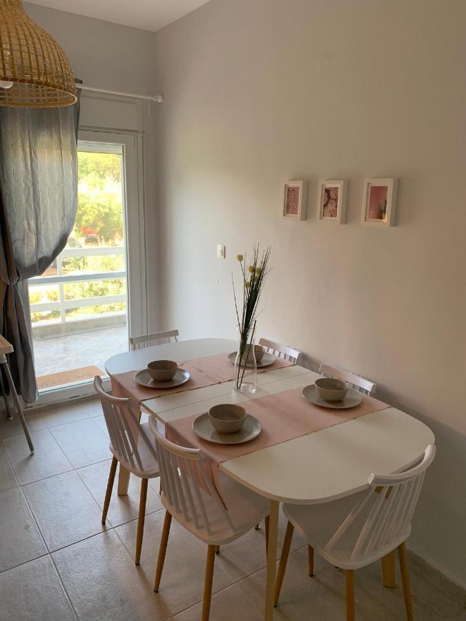 Gerakini Apartment Psakoudia Exteriör bild